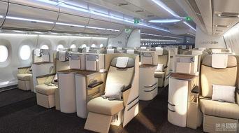 国产客机内部空间视频