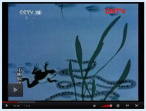 小蝌蚪视频国产成年网站,小蝌蚪视频的崛起与影响