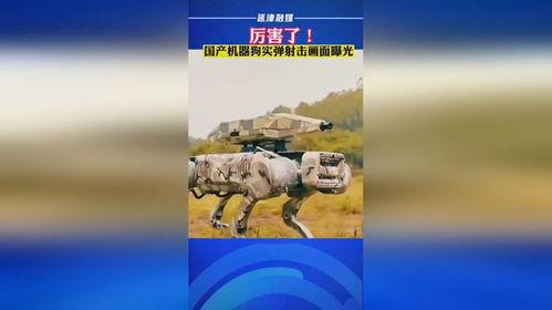 国产机器狗实弹射击视频,智能战力新突破