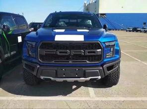 国产猛禽之王视频播放下载,激战云端，视频播放下载热潮席卷而来