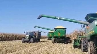 国产迪尔收玉米视频