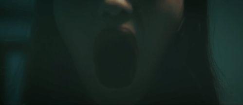 国产惊悚片套路大全视频,跟随国产惊悚片套路大全视频，一网打尽惊悚元素！