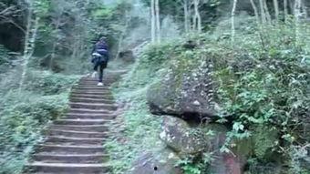 国产野外专区精品视频