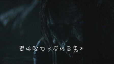 国产鬼片解说打码视频网站,揭秘国产鬼片打码视频网站背后的神秘世界